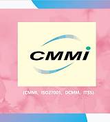CMMI能力成熟度集成模型山东CMMI认证ITSS认证 CMMI能力成熟度集成模;