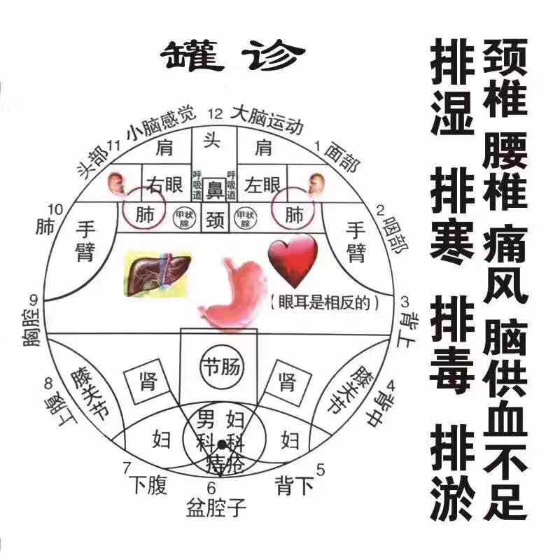 盛帝养宝量子罐加盟价格 盛帝养宝拔罐抑菌液代理 18866131431