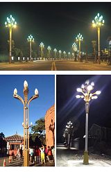 LED中华灯 户外道路照明6米8米12米广场景观灯中华灯;
