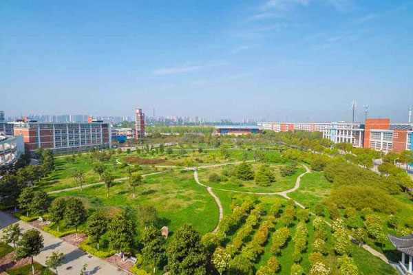 东平县高级技术学校校园环境