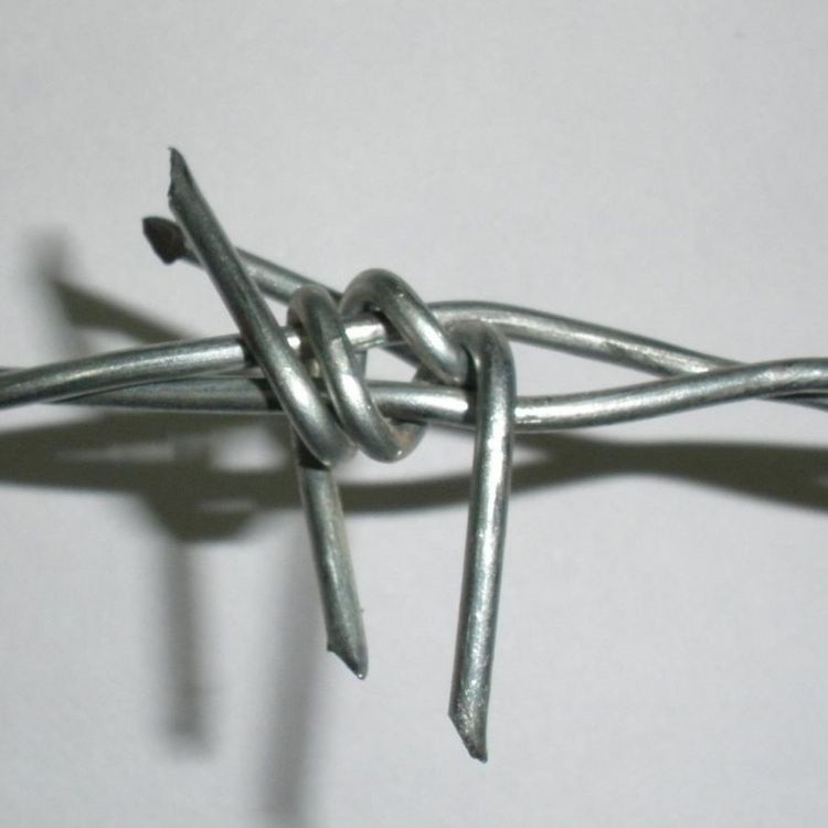 镀锌蒺藜铁丝供应 财润丝网定制异型铁丝刺绳