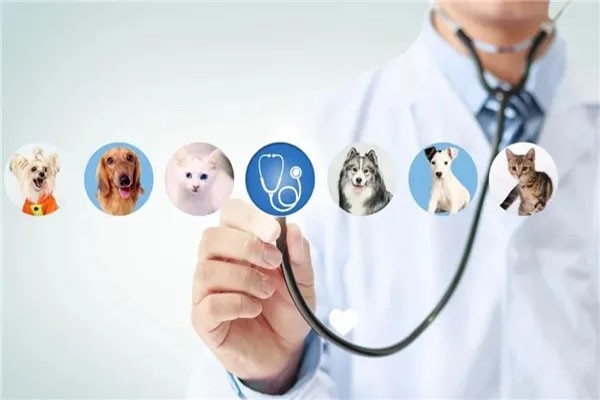 宠物医疗技术