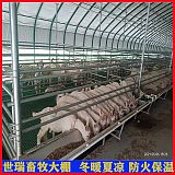 搭建养羊大棚 肉羊养殖棚建设 保温养羊棚安装