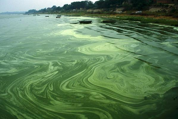 高效无磷水处理方案在炼油厂循环水系统的应用