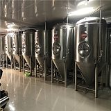 生产精酿啤酒的设备 日产1吨啤酒设备 河南饭店啤酒设备;