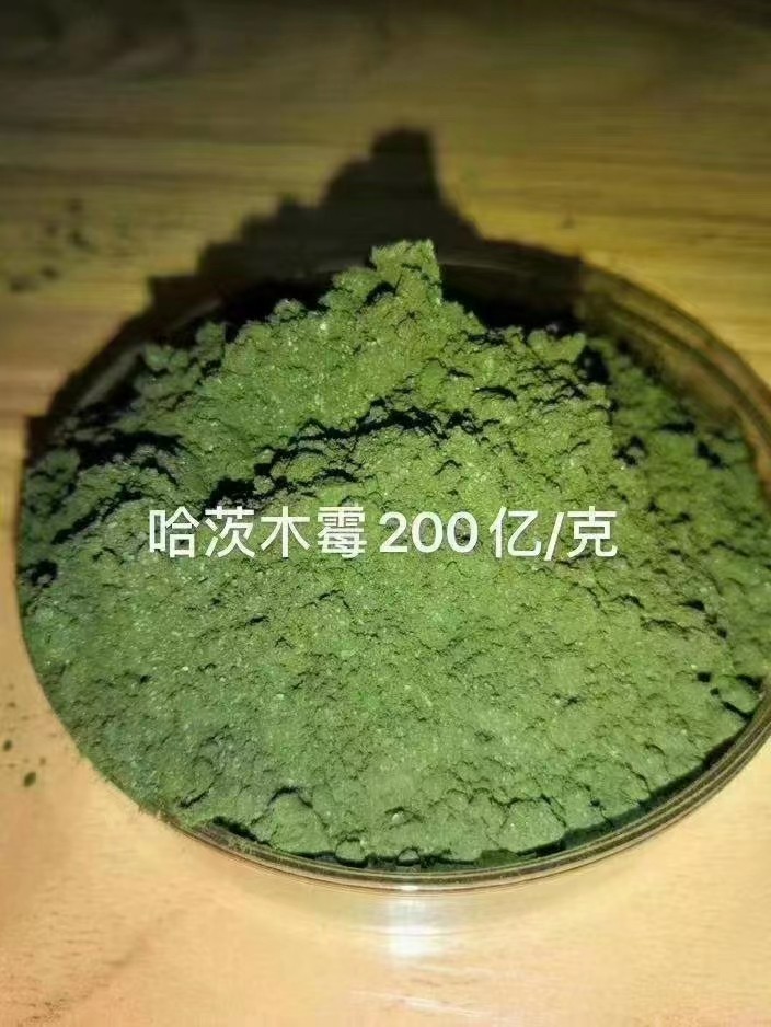 哈茨木霉菌微生物菌剂预防枯萎病改善土壤