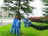 郴州专业园林绿化工程及养护草坪苗木修剪