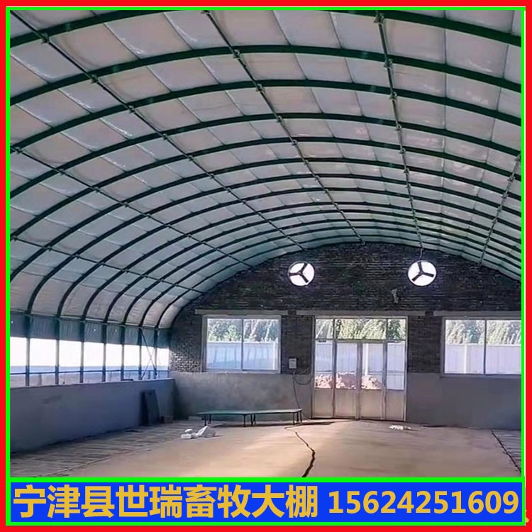 新型养牛大棚建造 肉牛养殖大棚施工 牛舍大棚设计方法