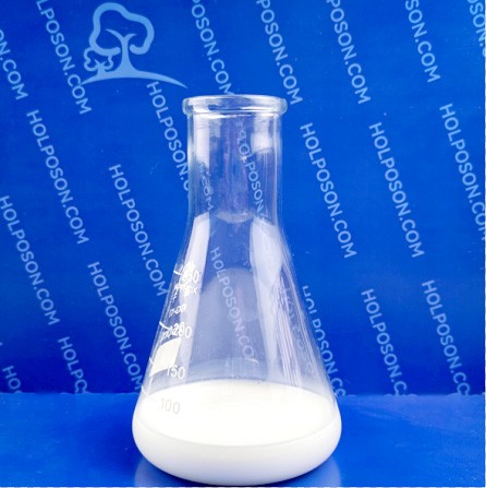 玻尿酸整理剂HOLPOSON保湿整理剂