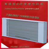远红外辐射加热器SRJF-30高温瑜伽房取暖器3000w;