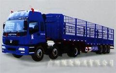 808163s.jpg