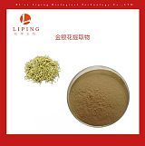 金银花提取物HPLC绿原酸3%-5%Chlorogenic acid