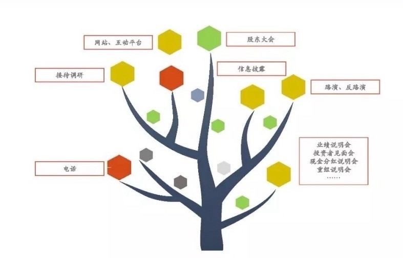 投资者关系管理：构建信任桥梁的艺术