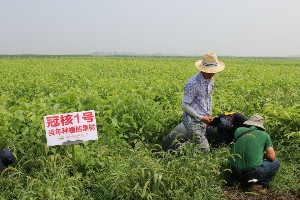 淄博冠核农业开发有限公司