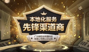 广东朝阳全网通科技有限公司佛山分公司