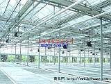 V96型玻璃溫室 蔬菜大棚骨架 江蘇溫室大棚 