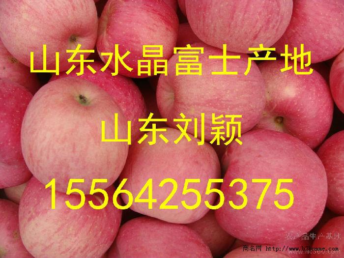 2014年山东红富士苹果批发什么价格 