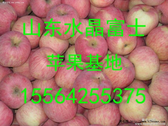 供应山东水晶红富士苹果山东苹果价格