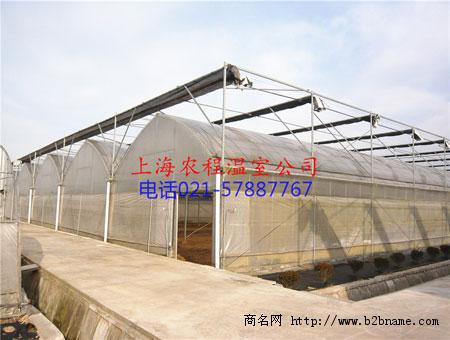 温室网站_了解温室大棚市场欢迎登陆上海农程温室