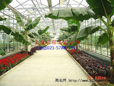 温室工程_连栋温室_玻璃温室_上海农程温室设备