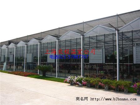 葡萄大棚图片_上海农程葡萄温室大棚工程案例图片
