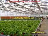 温室大棚图片_温室大棚施工图_上海青裕温室大棚;