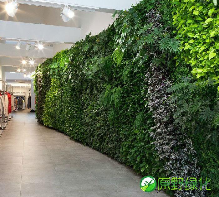 植物墙，仿真植物墙，真植物墙，垂直绿化，立体绿