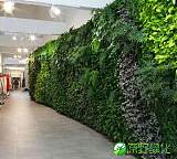 植物墙，仿真植物墙，真植物墙，垂直绿化，立体绿;