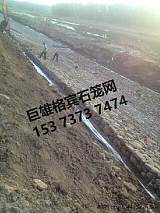 雷诺格宾网;