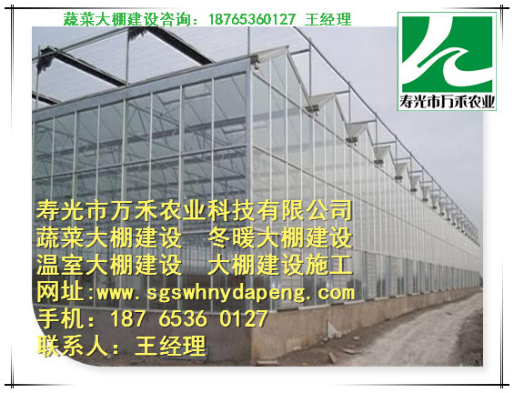 玻璃温室建设-智能温室建设-寿光市万禾农业