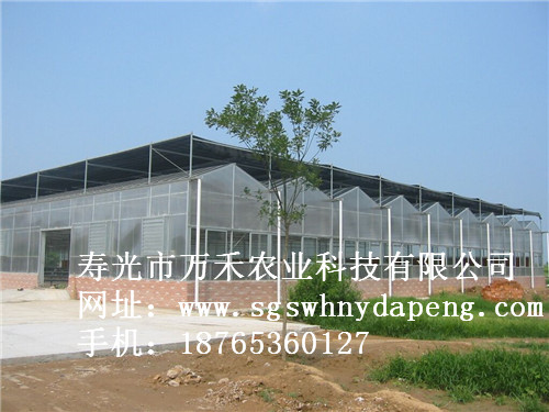 阳光板智能温室-阳光板温室建设-寿光市万禾农业
