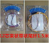 电信级SC方头12芯彩色1.5米12芯束状尾纤带状尾纤