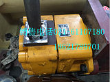 NB2-C20F齿轮油泵;