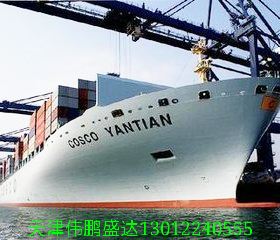 天津货代海运集装箱进出口业务内贸外贸