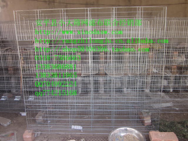 鸽子笼兔子笼鸡笼 狐狸笼鹌鹑笼鸟笼 鸡鸽兔笼养殖设备养殖笼具