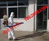无锡白蚁防治公司提供专业上门杀灭白蚁服务;