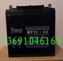 优佩斯蓄电池MF12-24蓄电池12V24Ah官方网站