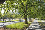 街道园林景观规划设计;