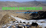 供应青海高原农牧藏羊、牦牛肉
