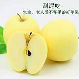 新鲜水果 静宁苹果黄元帅脆甜无公害苹果 特价促销全国包邮