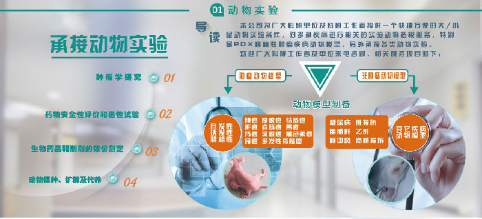 供应膀胱癌动物模型构建服务 广州吉妮欧生物科技