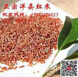 优质洋县红米1000g孕妇防便秘营养膳食红米，产地直销;