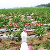 红河土豆节水灌溉设备供应商;