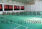 羽毛球专用塑胶地板 乒乓球塑胶地板 运动地板 室内篮球场地板;
