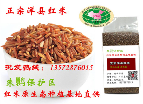 洋县有机红米批发1000g补血养颜红米，原产地直销