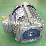 直销群策电机C01-43B0立式三相液压油泵电机0.75KW;