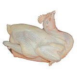 兰州无公害鸡肉价格、兰州绿色鸡肉厂家;