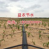 马鞍山大田玉米滴灌技术安装价钱;