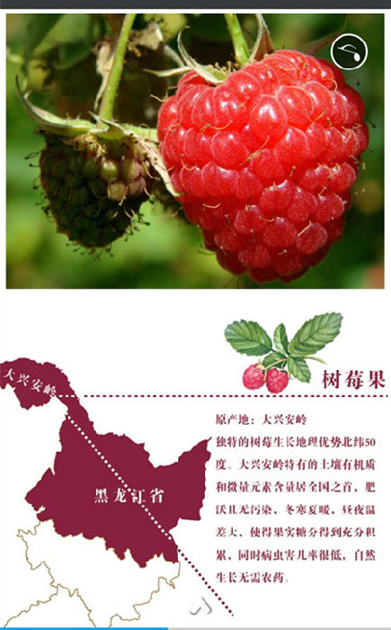 鲜榨果汁：冷冻树莓果--粒鲜榨精力果