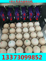 供应鸡蛋喷码机高解析鸡蛋喷码机分级机品牌专供;